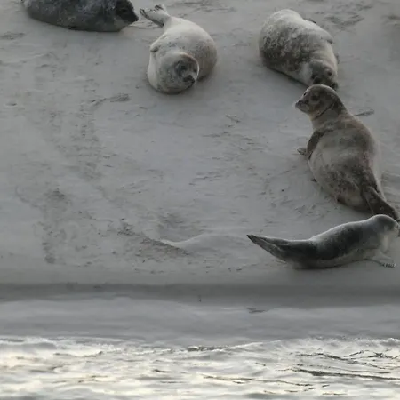 Bauernhofurlaub In Der 